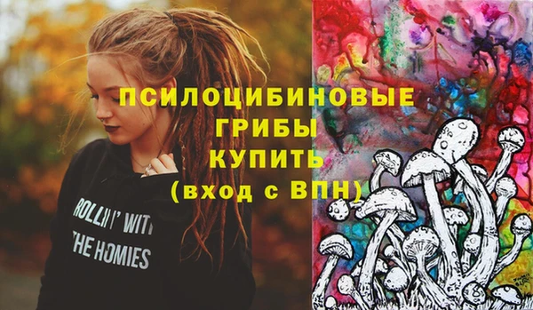 прущая мука Надым