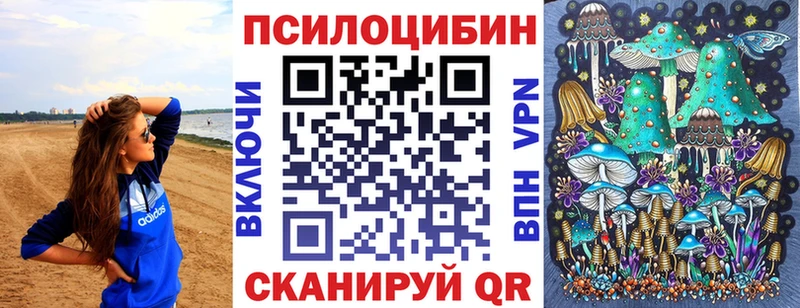 купить  цена  Староминская  ОМГ ОМГ онион  Псилоцибиновые грибы Psilocybine cubensis 